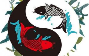 日干弱是什么意思