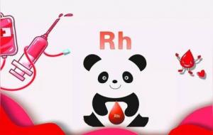 熊猫血是什么颜色(红色)