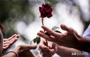 好女人的标准，好老婆的特征