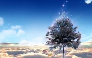 天选之人的六大特征