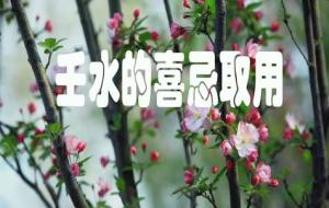 日主是壬水是什么意思