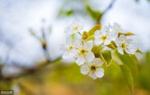 八字论命的几个步骤