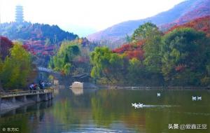 地气是什么意思