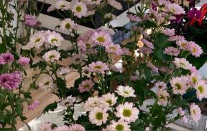 天蝎座在感情中的样子