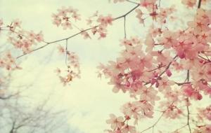 十二星座真理、12条真理