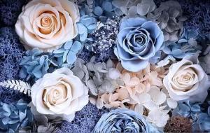 跟摩羯座相处要注意什么