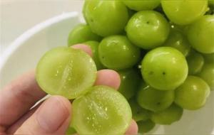 晴王葡萄和阳光玫瑰的区别