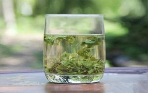 仙人掌茶属于什么茶（仙人掌茶的功效）