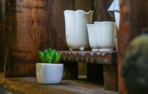 身体上的风水,养好就是富贵