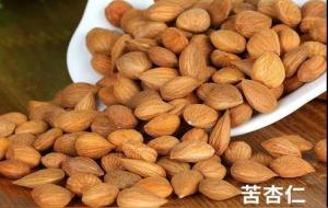 苦杏仁怎么吃（苦杏仁的功效与作用）