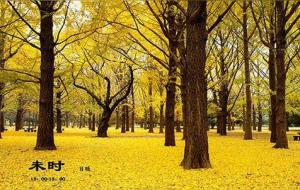 未时出生好不好(未时生男女运势分析