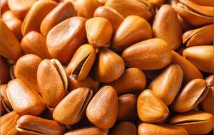 松子的营养价值和功效