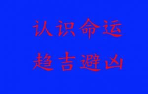 八字与人生的运动轨迹的关系