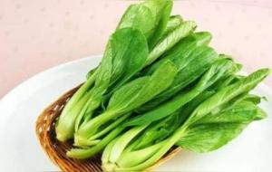 青菜的营养价值及功效