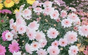 跟巨蟹座相处要注意什么