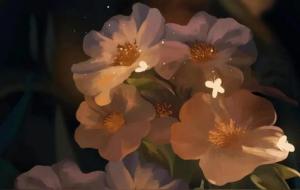 摩羯座天赋有多厉害