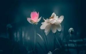 有灵性的人有什么特征