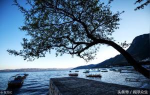 四柱八字名词解释