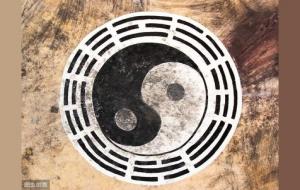 干支合化合绊与合住的区别及其运用