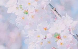 双子座优势是什么,一般人模仿不来