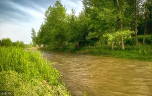 鱼缸形状与数目有关吗