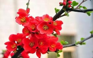 从脸上看人生的风水