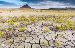 六土的意思与特性（纳音五行）