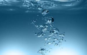 梦见什么会发财(发财的5种梦境)