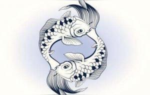 摩羯女和双鱼男合适婚姻吗