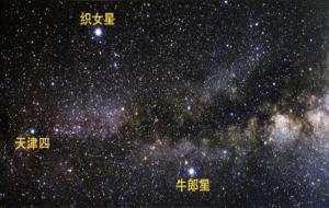 牛郎星是什么星座