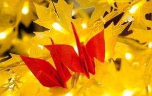 水瓶女和狮子男配对合适吗