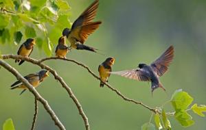容易出贵人之风水