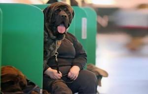 梦是怎么形成的