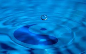 《易经》是天人合一的学问