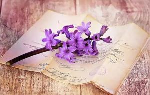 劳碌命是好命还是苦命