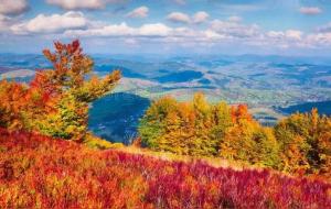 能够自我生长的5个日柱