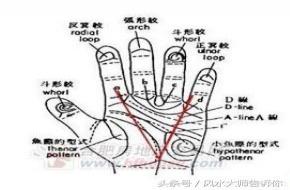 手指发财纹,容易发财的手指头