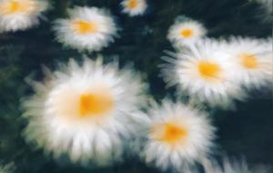 雨水有三候是什么