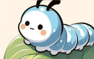 毛毛虫