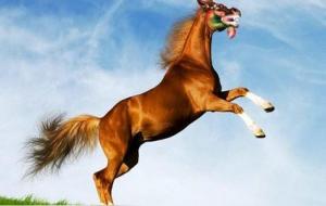 催财催运的器具