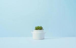 对女友的挽留的话语