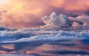 超以象外是什么生肖