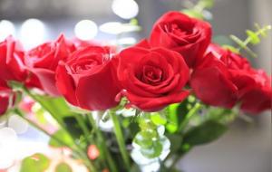 9朵玫瑰代表什么意思