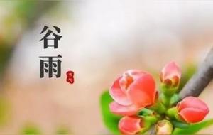 谷雨节气的含义