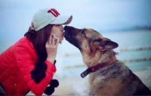 养狗的女人不能娶