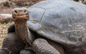 下葬时3种好征兆