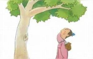 缘木求鱼是什么意思