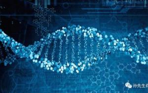 祖坟对儿孙谁的影响大