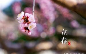 立春是晴天好还是雨天好