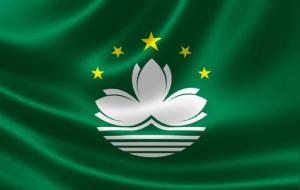 澳门的市花:白色莲花